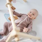 Qual o Brinquedo Ideal para Bebê de 2 Meses