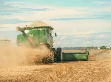 Agricultura sustentável exemplos — agricultura sustentável exemplos | Por Dentro da Notícia