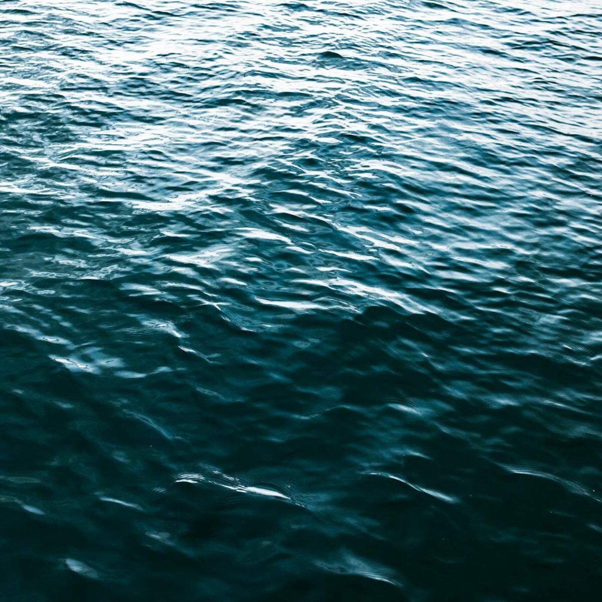 Dicas economizar agua — dicas economizar agua | Por Dentro da Notícia