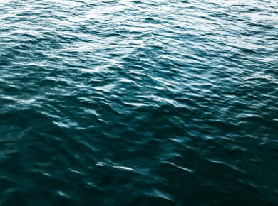 Dicas economizar agua — dicas economizar agua | Por Dentro da Notícia