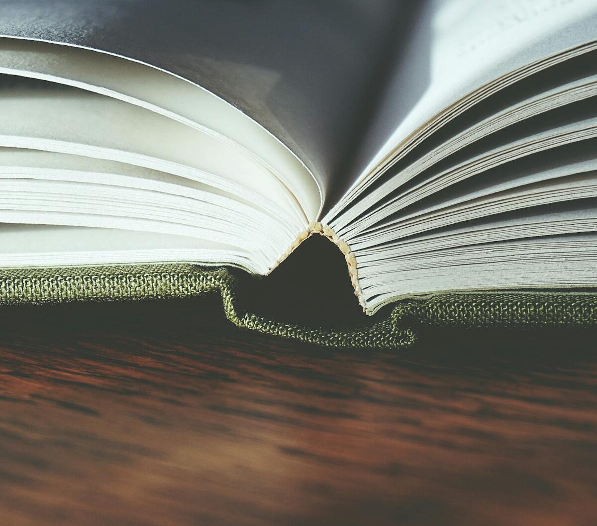 Diretrizes Curriculares Nacionais da Educação Básica: Guia Completo para Educadores e Gestores — diretrizes curriculares naci