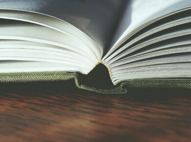 Diretrizes Curriculares Nacionais da Educação Básica: Guia Completo para Educadores e Gestores — diretrizes curriculares naci