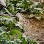 Para filtros de água para uma hidratação de qualidade, considere tipos como osmose reversa, carvão ativado ou filtros de barr