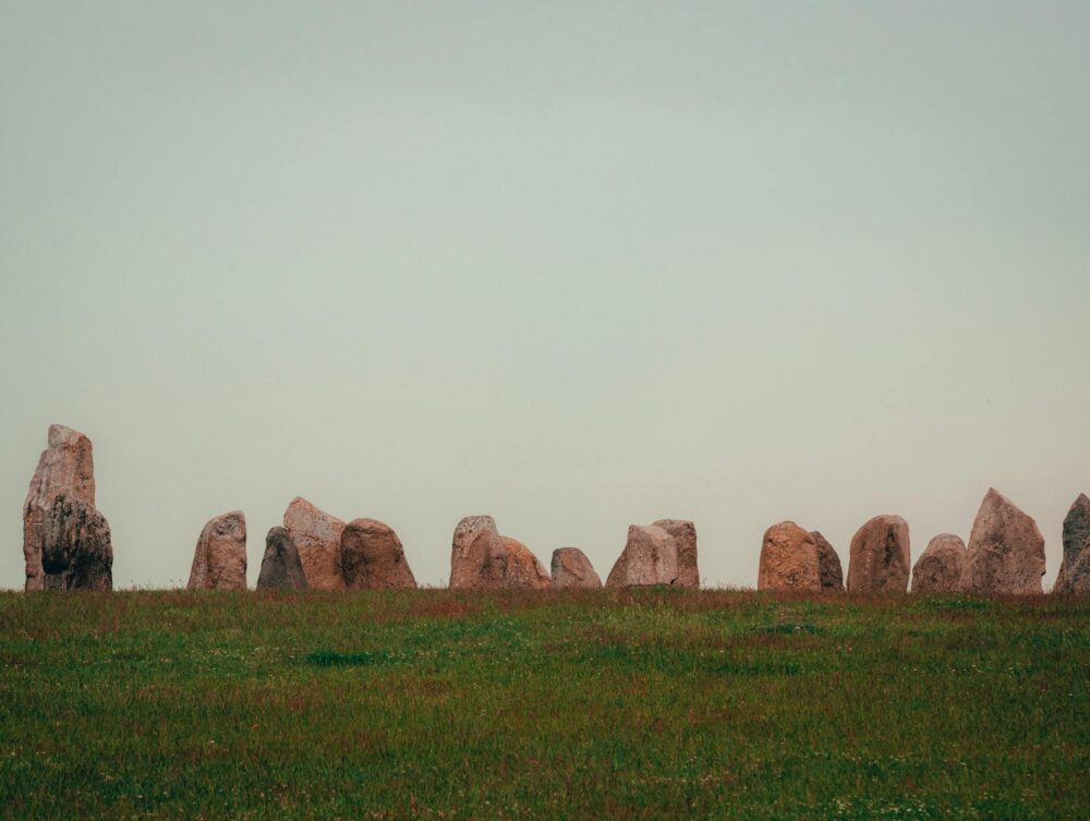 Quando Surgiu a Agricultura? A Fascinante História da Revolução que Moldou a Humanidade — quando surgiu a agricultura | Por D
