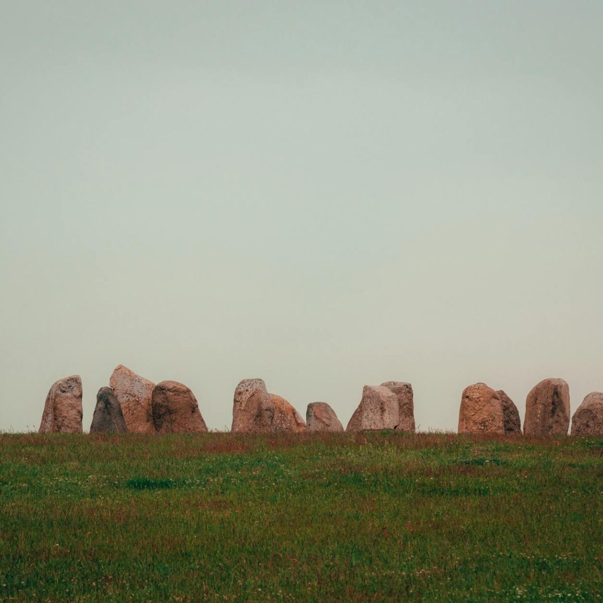 Quando Surgiu a Agricultura? A Fascinante História da Revolução que Moldou a Humanidade — quando surgiu a agricultura | Por D