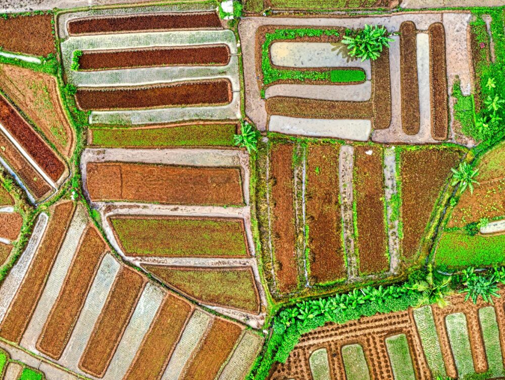 Sustentabilidade Agrícola: O Caminho Essencial para um Agronegócio Próspero e Resiliente — sustentabilidade agrícola | Por De