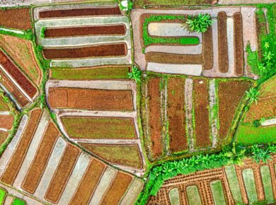 Sustentabilidade Agrícola: O Caminho Essencial para um Agronegócio Próspero e Resiliente — sustentabilidade agrícola | Por De