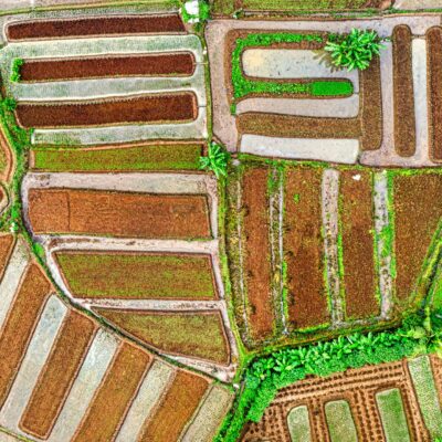 Sustentabilidade Agrícola: O Caminho Essencial para um Agronegócio Próspero e Resiliente — sustentabilidade agrícola | Por De