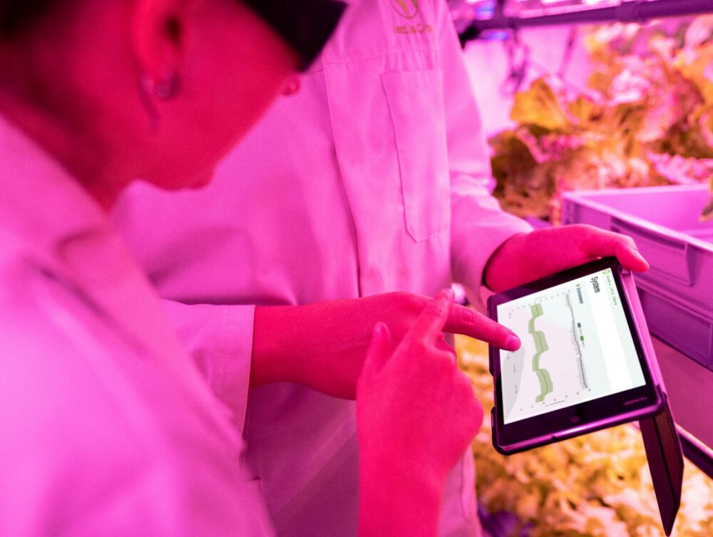Tecnologia no Campo: Exemplos Revolucionários que Impulsionam a Produtividade Agrícola — tecnologia no campo exemplos | Por D