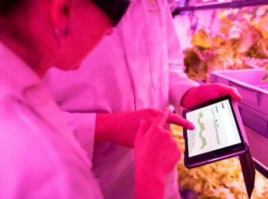 Tecnologia no Campo: Exemplos Revolucionários que Impulsionam a Produtividade Agrícola — tecnologia no campo exemplos | Por D