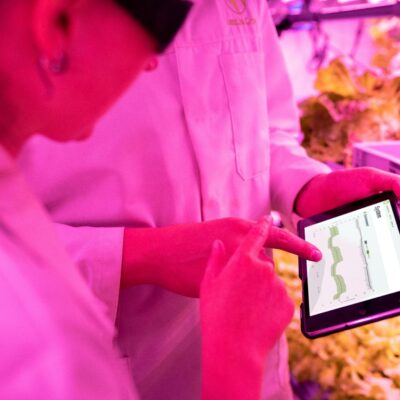 Tecnologia no Campo: Exemplos Revolucionários que Impulsionam a Produtividade Agrícola — tecnologia no campo exemplos | Por D