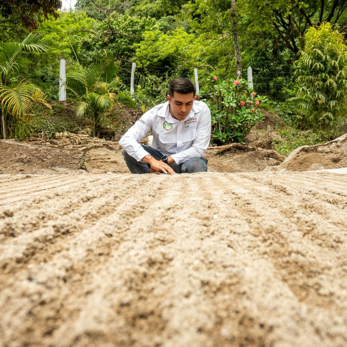 Trabalho sobre Agricultura: Guia Completo para um Estudo Impecável e Impactante — trabalho sobre agricultura | Por Dentro da