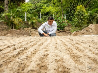 Trabalho sobre Agricultura: Guia Completo para um Estudo Impecável e Impactante — trabalho sobre agricultura | Por Dentro da