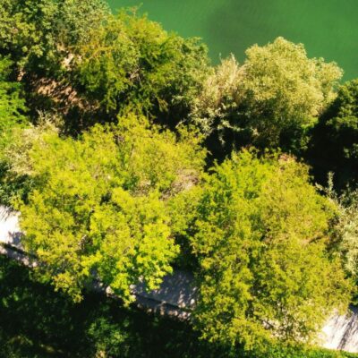 Como o Licenciamento Ambiental Beneficia sua Empresa de Maneira Tangível