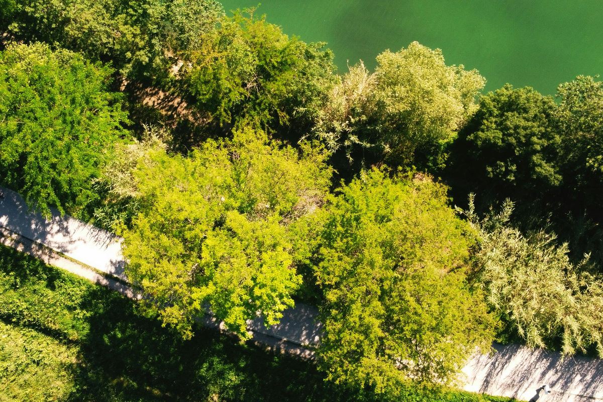 Como o Licenciamento Ambiental Beneficia sua Empresa de Maneira Tangível