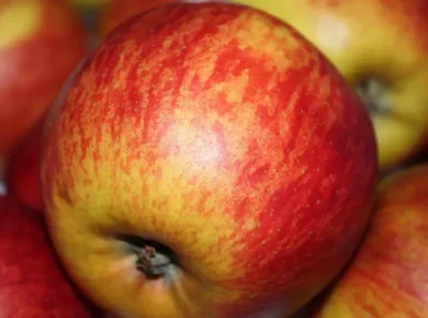 Como escolher um nutricionista